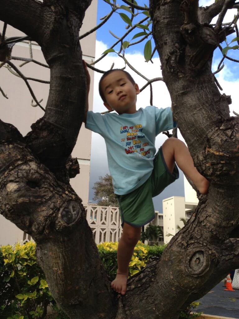 ハワイで大家：移住した2012年の長男3歳